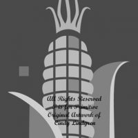 Corn King, by Cindy Lindgren