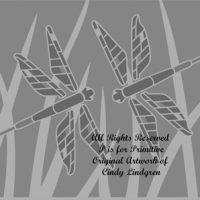 Dragonfly Duo, by Cindy Lindgren