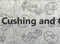 Sea Shells & Sea Horses, 20" x 12", pattern by P is for Primitive