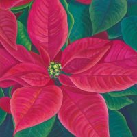 Freedom Red Poinsettia Pattern ONLY, Based on the Artwork of Mary Michola Fibich