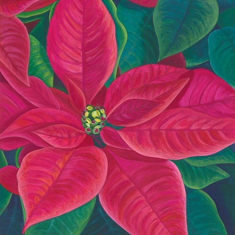 Freedom Red Poinsettia Pattern ONLY, Based on the Artwork of Mary Michola Fibich