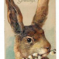 Hare's To You Large, 22 x 32, Vintage Postcard Pattern From Joan Moshimer's Studio