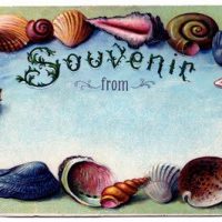 Souvenir From The Sea, 24 x 36, Vintage Postcard Pattern From Joan Moshimer's Studio