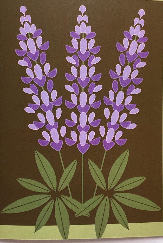Wild Lupine, by Cindy Lindgren