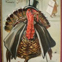 Star of Thanksgiving, 24 x 36, Vintage Postcard Pattern From Joan Moshimer's Studio