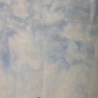 Hand Dyed Wool - Frosty