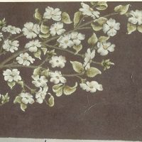 Dogwood by Pearl McGown OSV 540 34" x 65"