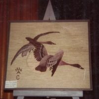 Koson: On the Wing, OSV876  by Pearl McGown   30" x 35"