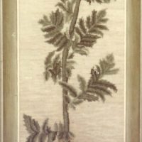 Tansy P166 Pearl McGown Pattern 12" x 33"