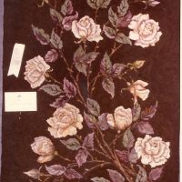 Winner by Pearl McGown  OSV 649   32"x 55"