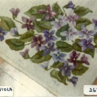 Viola OSV 826 by Pearl McGown   26" x 40"