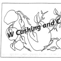 Apples Pattern by Salma Dhanji SD213 24 x 35 inches