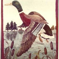 Flight of the Mallard Duck  OSVP 133, Pearl McGown pattern,         22" x  29"