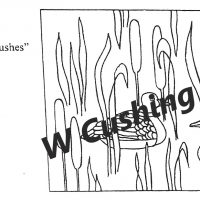 Ducks and Bulrushes Pattern by Salma Dhanji     SD601      22 x 33 inches