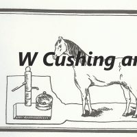 Frost's Pattern No. 126,          28" x 52 1/4",  GV 126