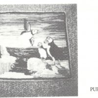 Puffins At Home #129, Jeanne Fallier 24 x 36