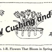 Flowers That Bloom In the Spring,  28" x 52", Ralph Burnham Pattern No. 1-R