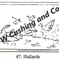 Mallards #47,  Jeanne Fallier 20 x 28