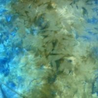 Hand Dyed Wool - Nantucket