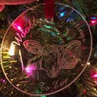 Ornament Our Exclusive 2022 Limited Edition, Wooly Greetings to Ewe Etched Glass Ornament