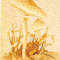 Mushroom and Frog OSVP 103 a Pearl McGown Pattern 9" x 12"