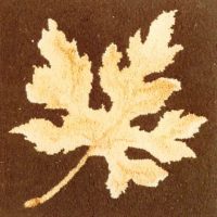 Leaf from Porcelain,  OSVT 33 Pearl McGown Pattern 10"x 10"