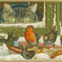 What Green Eyes You Have! 20 1/2 x 30, Vintage Postcard Pattern