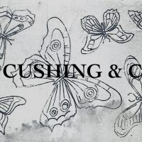 Butterfly Moderne, 27 x 45, by Rebecca Andrews, #RA 711A