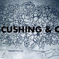 Cox Still Life, 25 x 35 by Rebecca Andrews #RA205