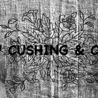 Landing, 27 x 34, by Rebecca Andrews #RA210