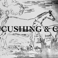 Mare and Colt, 26 x 40, by Rebecca Andrews,  #RA 712