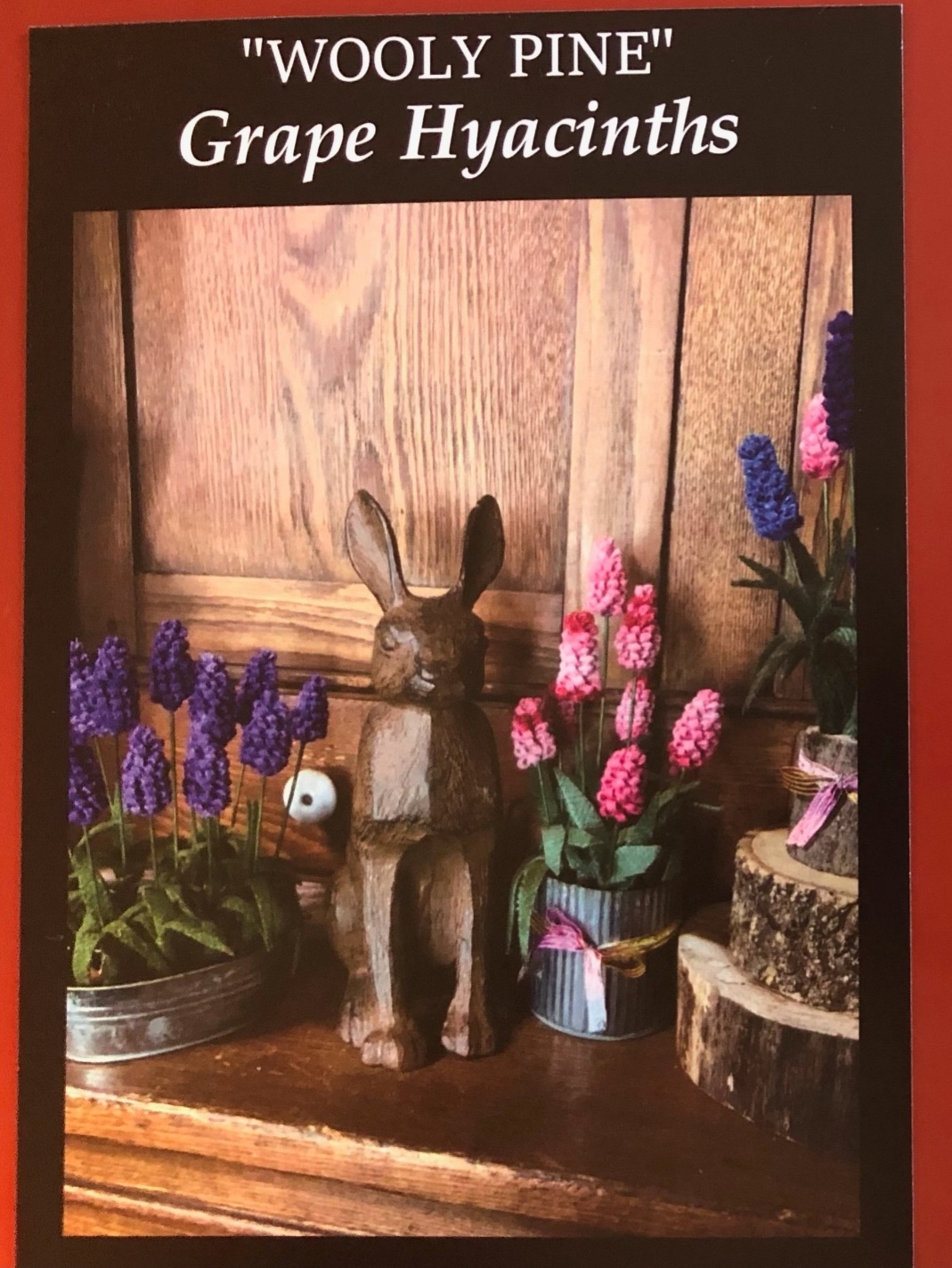 WOOLY GRAPE HYACINTH& CARROTS Pattern by Wooly Pines - Image 2