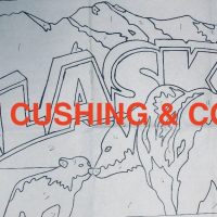 Alaska, Vintage State Postcard, Pattern by Cactus Needle, 17" x 30"