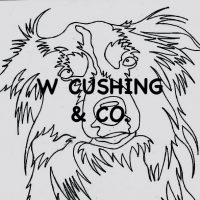 Border Collie, Pattern by Cactus Needle, 14" X 14”