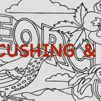 Georgia, Vintage State Postcard, Pattern by Cactus Needle, 17" x 30"