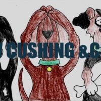 Hear No Evil Dogs, Pattern by Cactus Needle, 23" X 42 1/2"