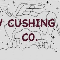 Holy Cow, Pattern by Cactus Needle, 24" X 32”