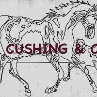 Horses, Pattern by Cactus Needle, 26" X 38 1/2"