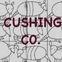 I Can Draw an Armadillo, Pattern by Cactus Needle, 19" X 36”