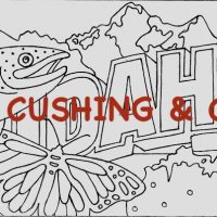 Idaho, Vintage State Postcard, Pattern by Cactus Needle, 17" x 30"