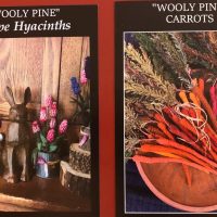 WOOLY GRAPE HYACINTH& CARROTS Pattern by Wooly Pines