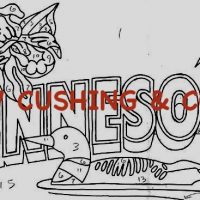 Minnesota, Vintage State Postcard, Pattern by Cactus Needle, 17" x 30"