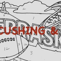 Nebraska, Vintage State Postcard, Pattern by Cactus Needle, 17" x 30"