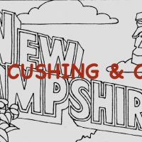 New Hampshire, Vintage State Postcard, Pattern by Cactus Needle, 17" x 30"