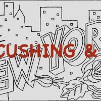 New York, Vintage State Postcard, Pattern by Cactus Needle, 17" x 30"