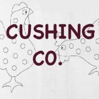 Pecking Party, Pattern by Cactus Needle, 11" X 18”