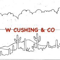 Southwest Sunrise, Pattern by Cactus Needle, 20 3/4" X 15"