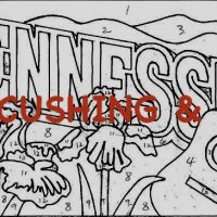 Tennessee, Vintage State Postcard, Pattern by Cactus Needle, 17" x 30"