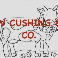 Udderly Beautiful, Pattern by Cactus Needle, 24" X 18”