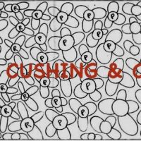 Wildflowers, Pattern by Cactus Needle, 31 1/2" X 18"